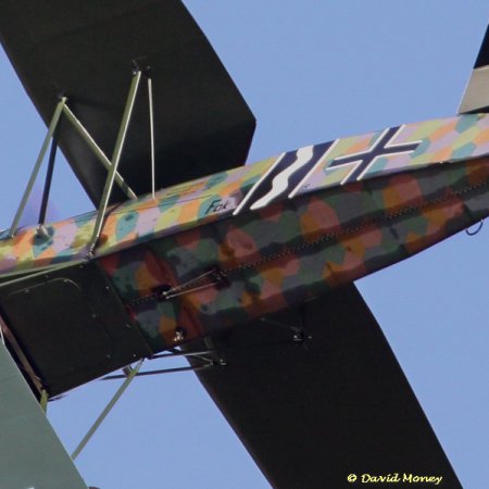 James Fahey Fokker DVIII Walkaround 33