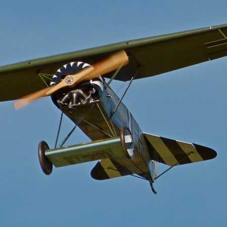 James Fahey Fokker DVIII Walkaround 84