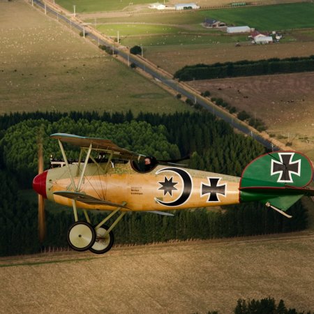 Albatros In Flight Alex Mitchell 2564