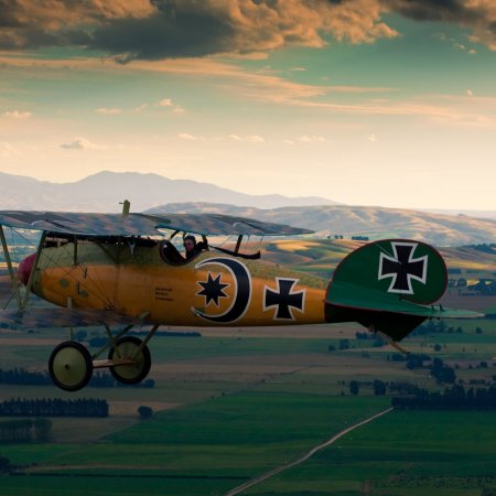 Albatros In Flight Alex Mitchell SJ 9 K 2496