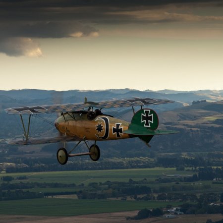 Albatros In Flight Alex Mitchell SJ 9 K 2483 2