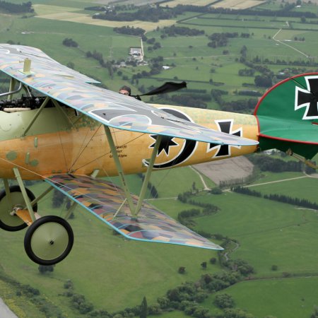 Albatros In Flight Gavin Conroy 060