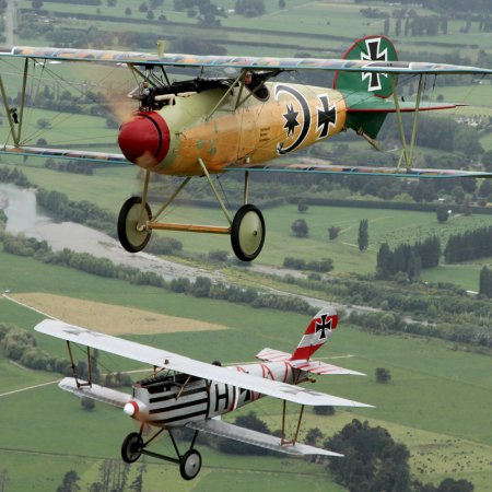 Albatros In Flight Gavin Conroy 090