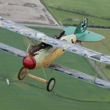 Albatros In Flight Gavin Conroy 131