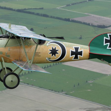 Albatros In Flight Gavin Conroy 176