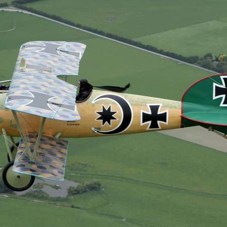 Albatros In Flight Gavin Conroy 178