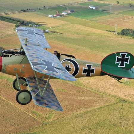 Albatros In Flight Photo By CALIARO LUIGINO ITALY 00001