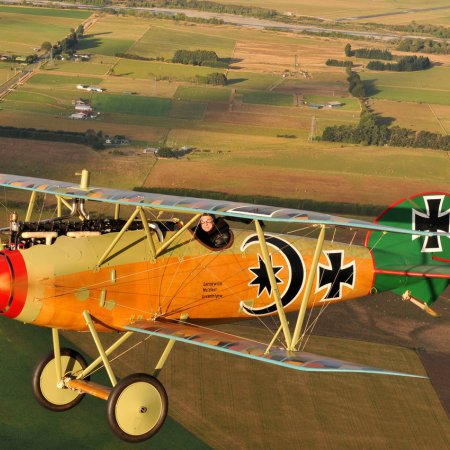 Albatros In Flight Photo By CALIARO LUIGINO ITALY 00002