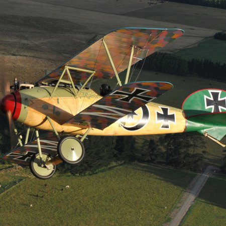 Albatros In Flight Photo By CALIARO LUIGINO ITALY 00003