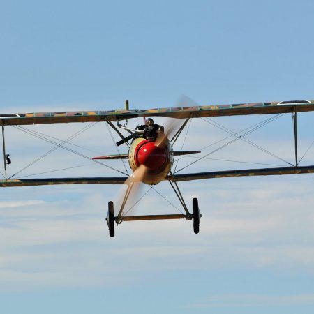 Albatros In Flight Photo By CALIARO LUIGINO ITALY 00005