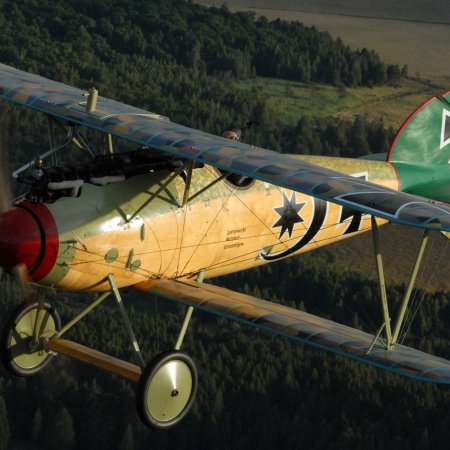 Albatros In Flight Photo By CALIARO LUIGINO ITALY 00006