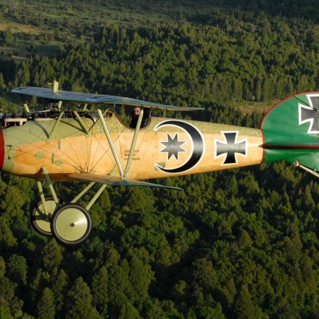 Albatros In Flight Photo By CALIARO LUIGINO ITALY 00007