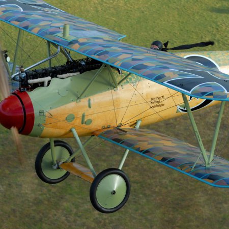 Albatros In Flight Photo By CALIARO LUIGINO ITALY 00008