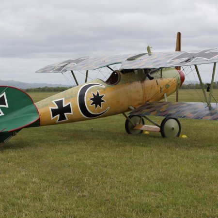 Albatros DVa Walkaround