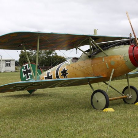 Albatros DVa Walkaround