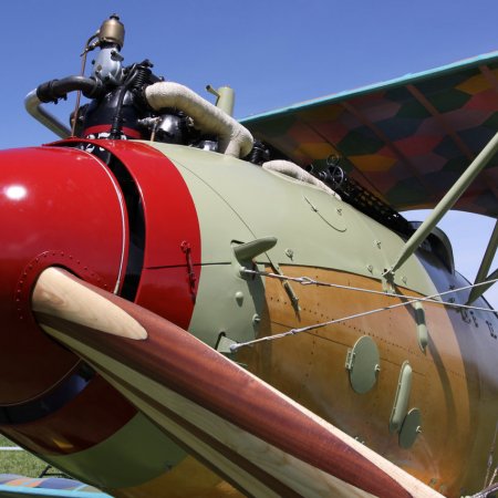 Albatros DVa Walkaround