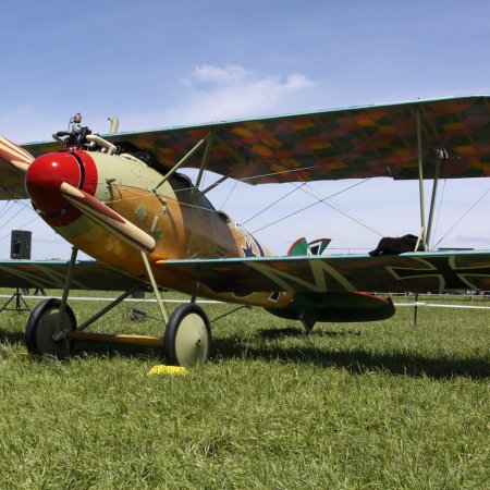 Albatros DVa Walkaround