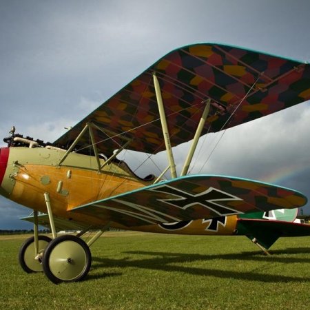 Albatros DVa Walkaround