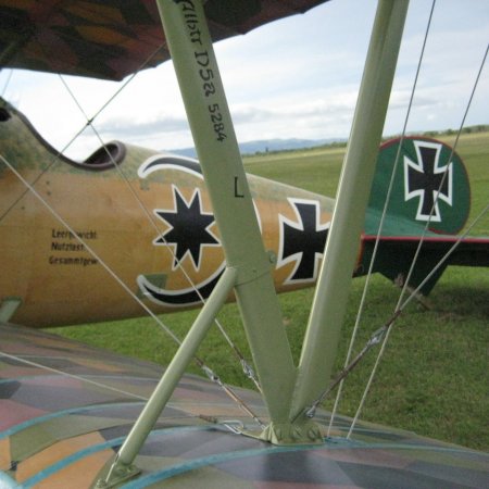 Albatros DVa Walkaround