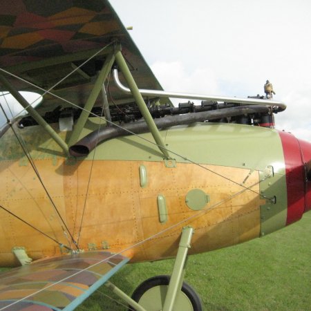 Albatros DVa Walkaround