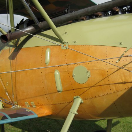 Albatros DVa Walkaround