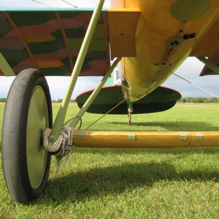 Albatros DVa Walkaround