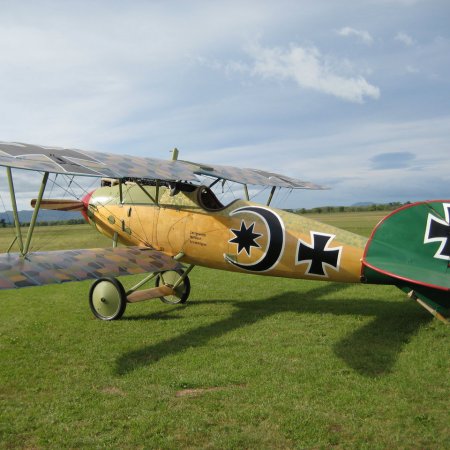 Albatros DVa Walkaround