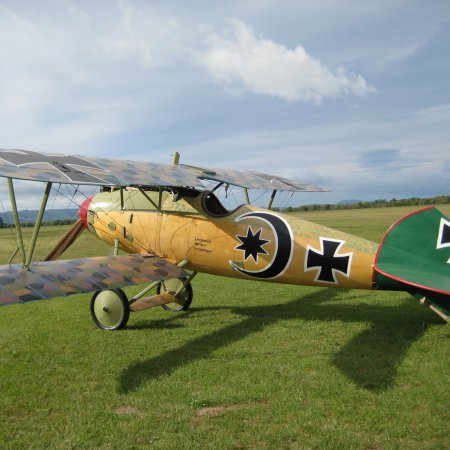 Albatros DVa Walkaround