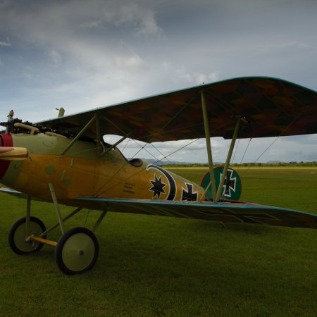 Albatros DVa Walkaround