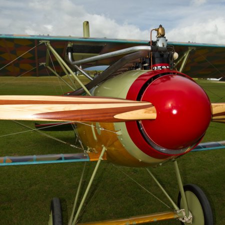 Albatros DVa Walkaround