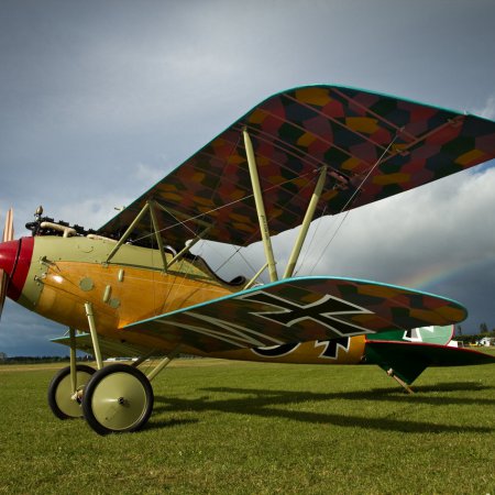 Albatros DVa Walkaround