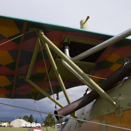 Albatros DVa Walkaround