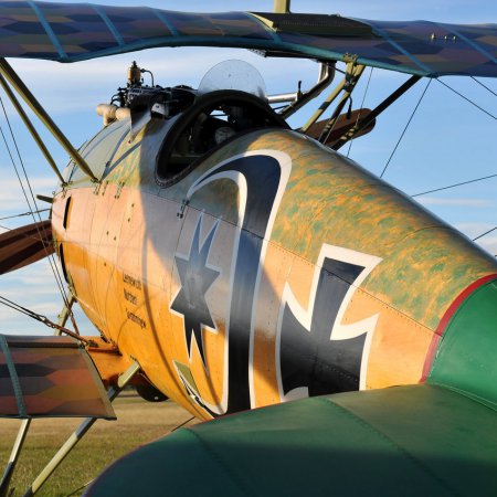 Albatros DVa Walkaround