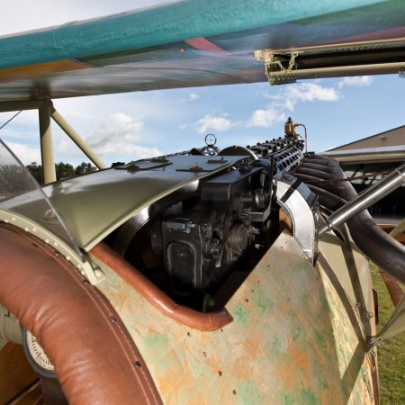 Albatros DVa Walkaround