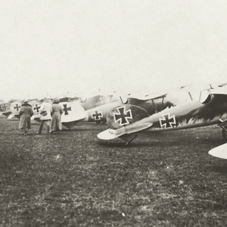 033 Albatros Line Up