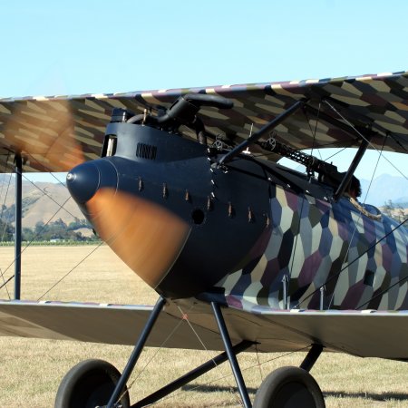 Cf 05 Pfalz 5