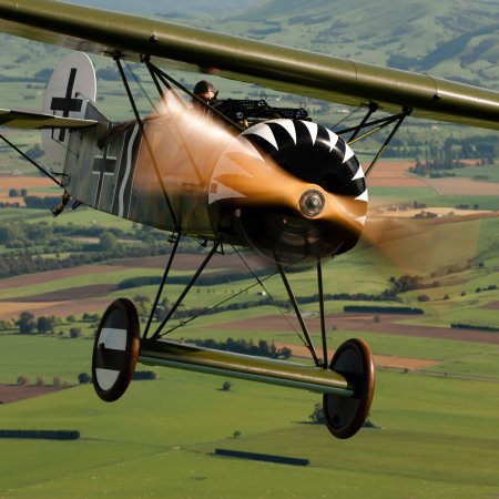 Fokker DVIII Head On