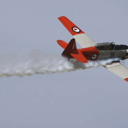 TVAL Remembrance Day Airshow