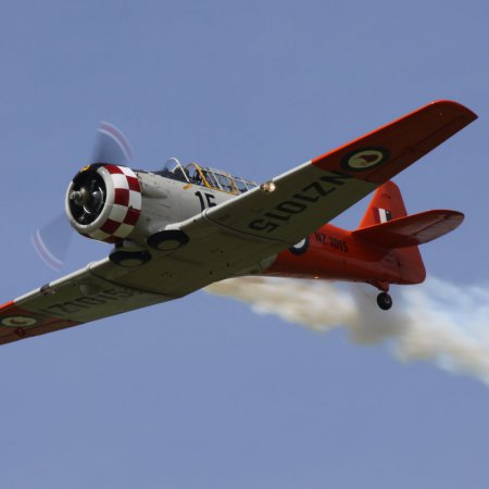 TVAL Remembrance Day Airshow