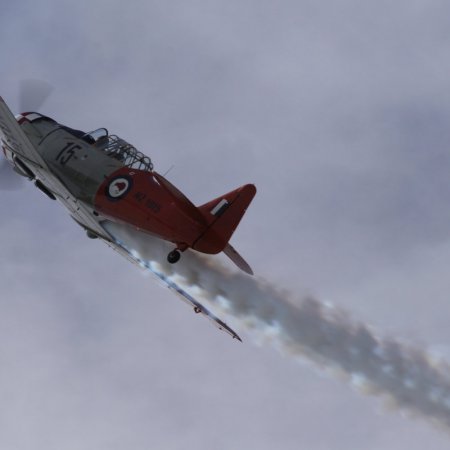 TVAL Remembrance Day Airshow