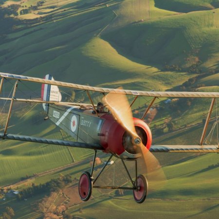 Sopwith Pup 8925 2