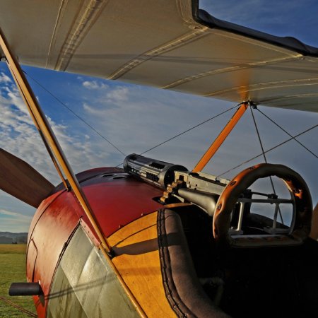 Sopwith Pup Walkaround 4993