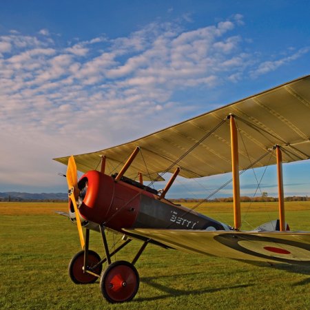 Sopwith Pup Walkaround 5015