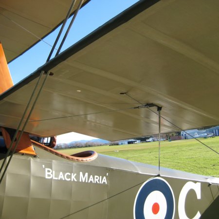 Sopwith Triplane 009