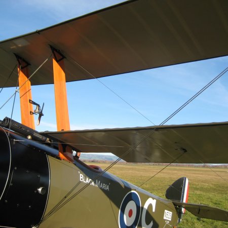 Sopwith Triplane 048