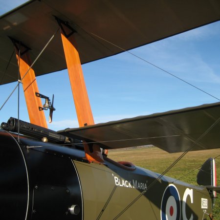 Sopwith Triplane 052