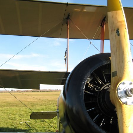 Sopwith Triplane 053