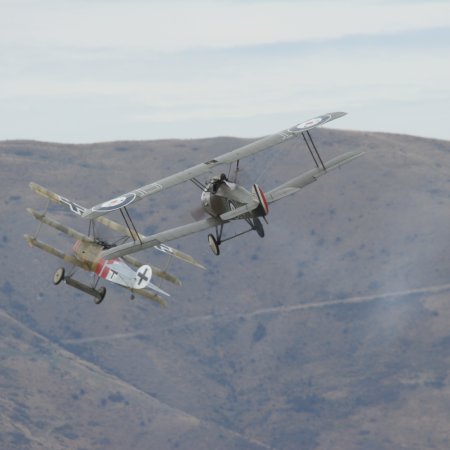 Wanaka 2006 Camel Attacks Dr 1