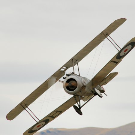 Wanaka 2006 JF Camel 7