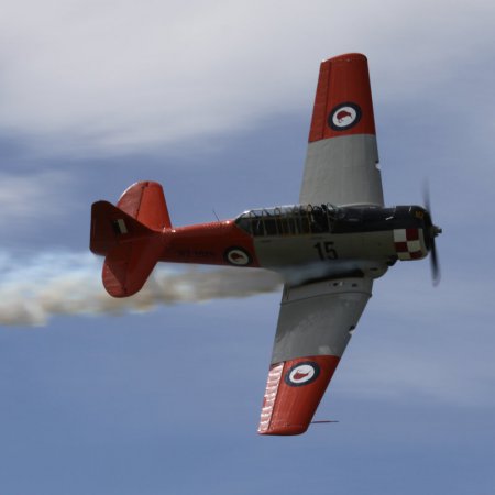 TVAL Remembrance Day Airshow